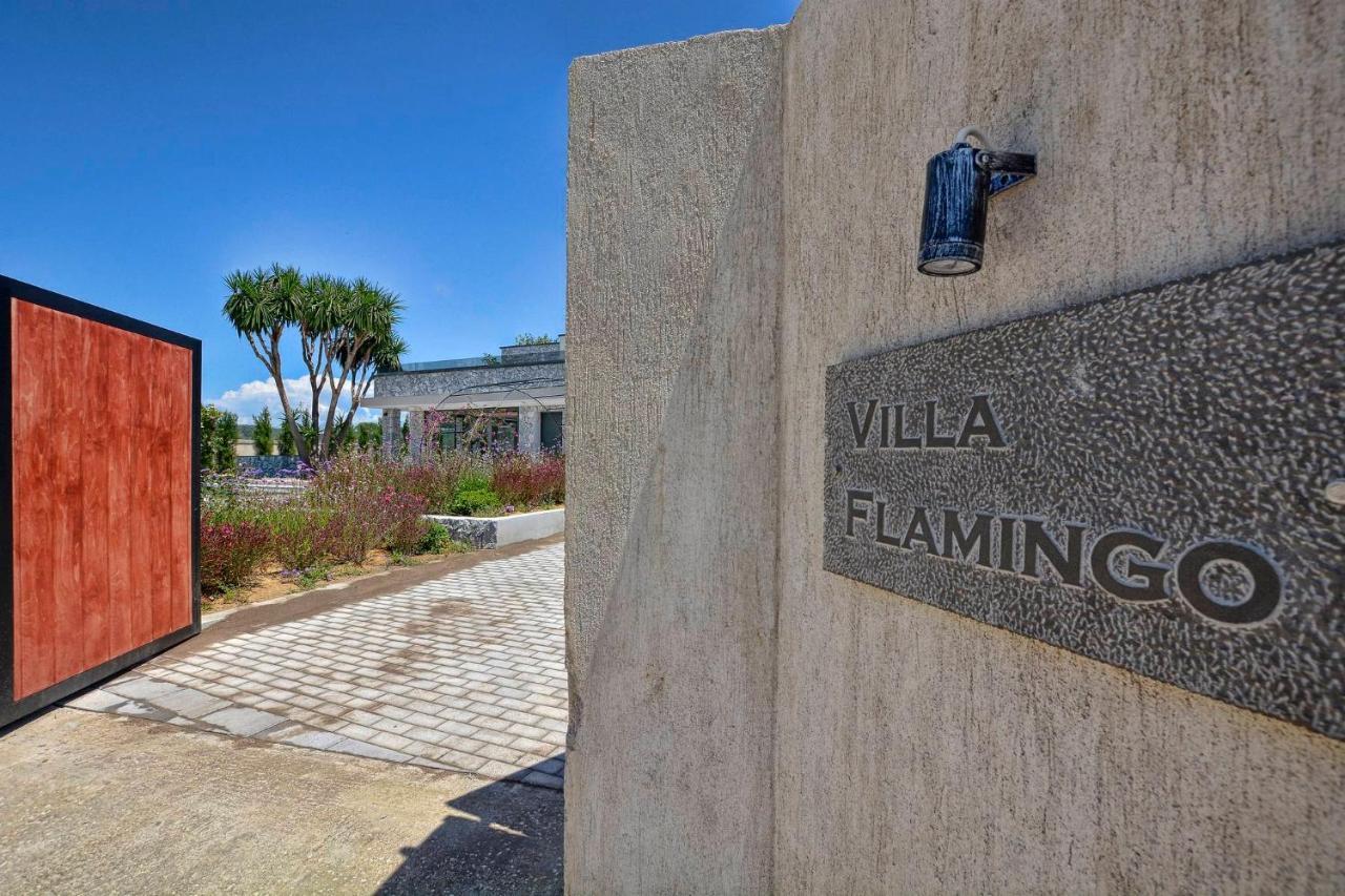 Villa Flamingo - 4 Bedrooms - Private Pool - Next To Renowned Issos Beach & Lake Korission Línia Eksteriør bilde